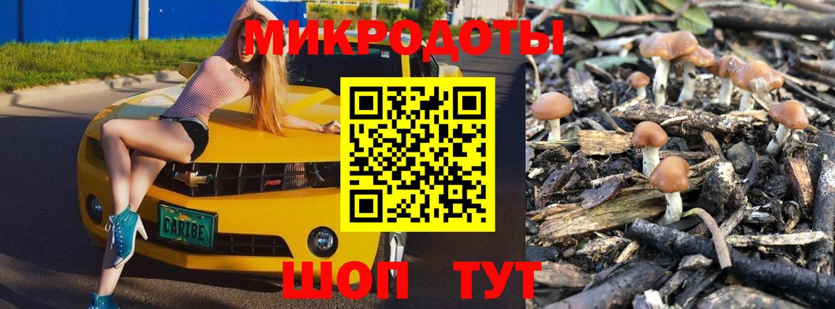 Галлюциногенные грибы прущие грибы Котельники
